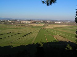 montady