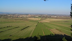 montady