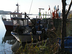 bateaux_valras