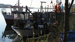 bateaux_valras