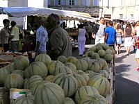 die_melons