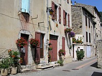 saillans_fleurs