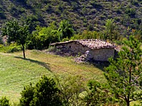 ferme
