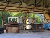 distillation_lavande