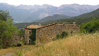quint_ferme