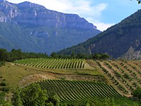 clairette01