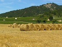 clairette02