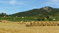 clairette02
