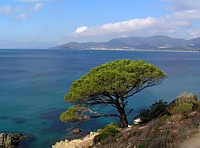 baie_cavalaire