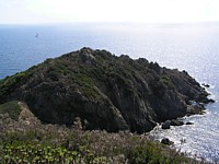cap_Lardier