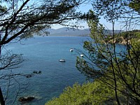 andati_sieste