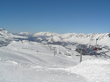 Les Veaux veaux