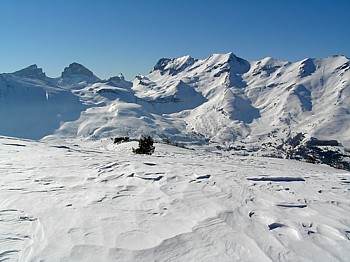 Aurouze