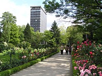 roseraie_1