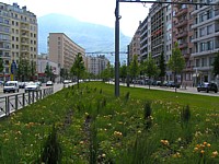 tram_voies