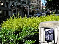 lady_fest_grenoble