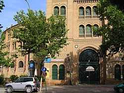 Toros