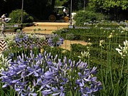 seville_Marie_Louisa_caleche