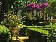 seville_pergola