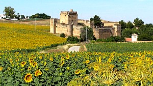 Ultrero_castle