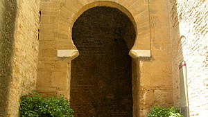 mesquita