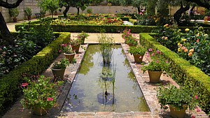 basin