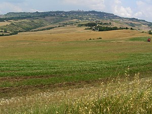 Volterra