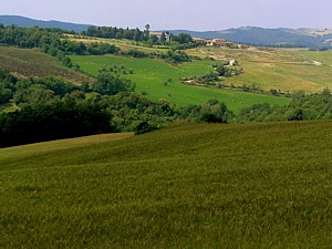 vert_Toscane
