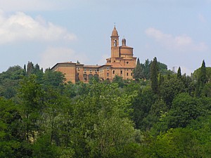 Siena_loin