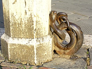 serpent_siena