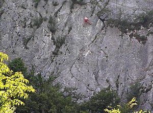 escalade