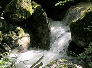 vence4