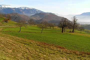 voironnais1