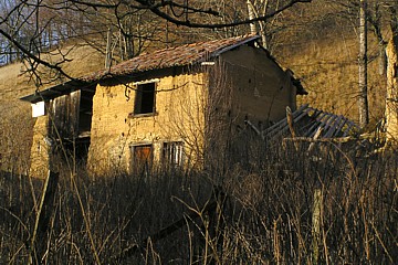maison_pise