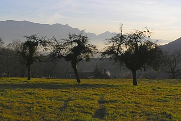 noyers2