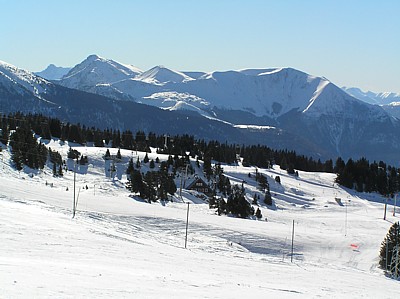 serre